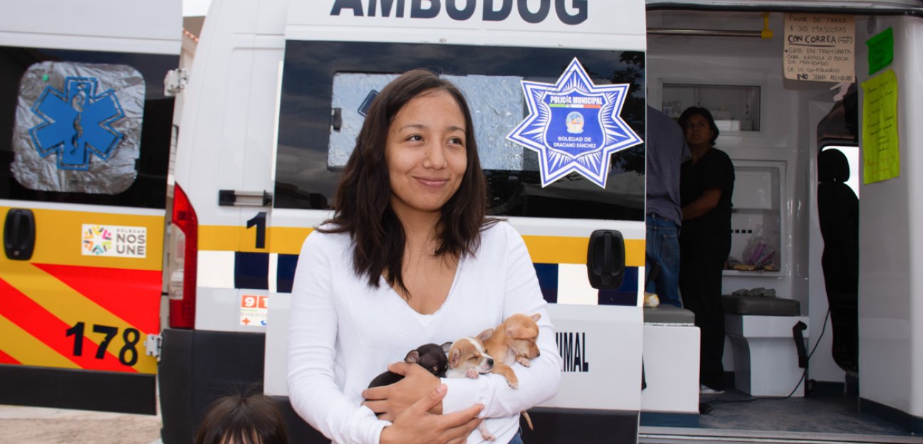 Se reactivó programa Ambudog bajo medidas sanitarias