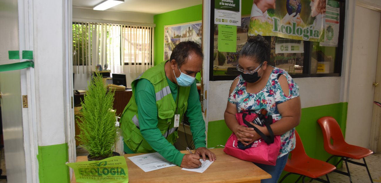 Solicitudes de tala de árboles deben cumplir ciertos requisitos