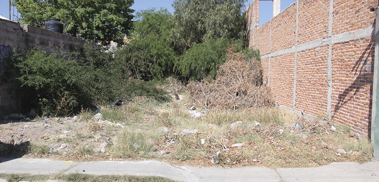 Ecología de Soledad atiende reportes de lotes baldíos que se utilizan como basureros 