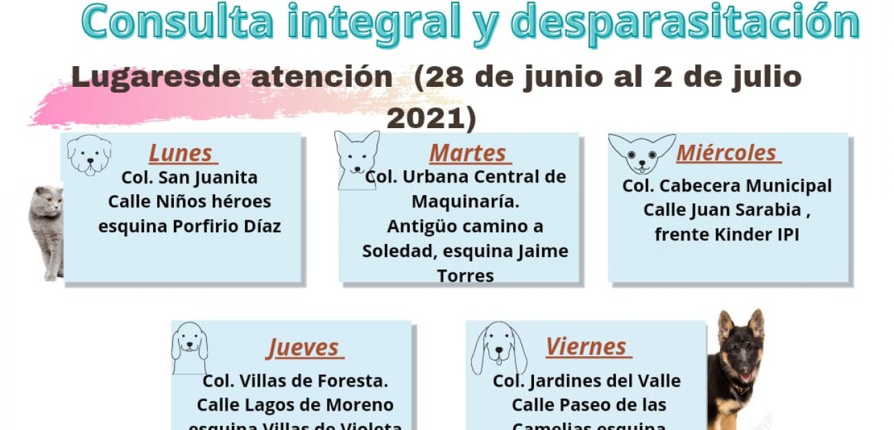 Ayuntamiento de Soledad invita a jornada de vacunación antirrábica 2021