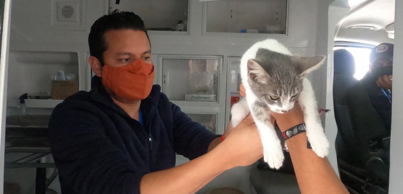 Campaña antirrábica en Soledad se desarrolla con gran aceptación