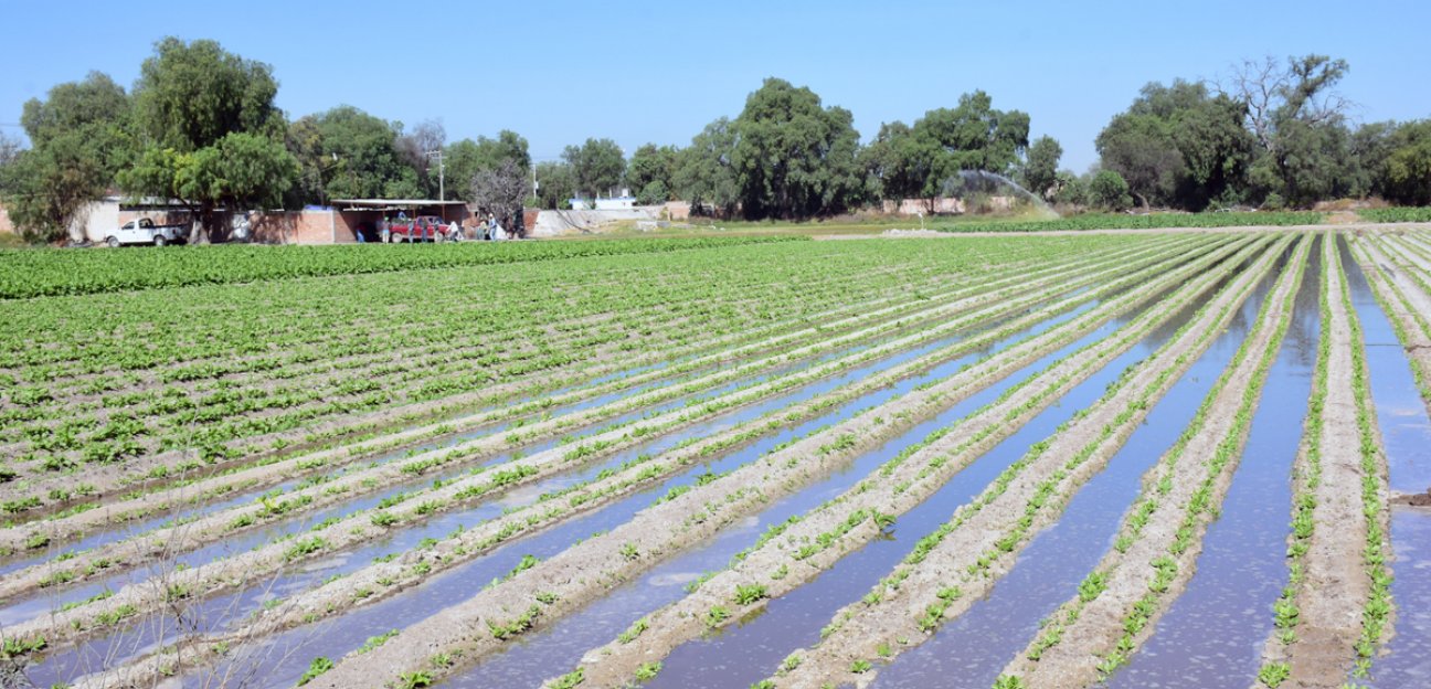 Ayuntamiento de Soledad gestiona la dotación de sorgo y maíz para productores locales