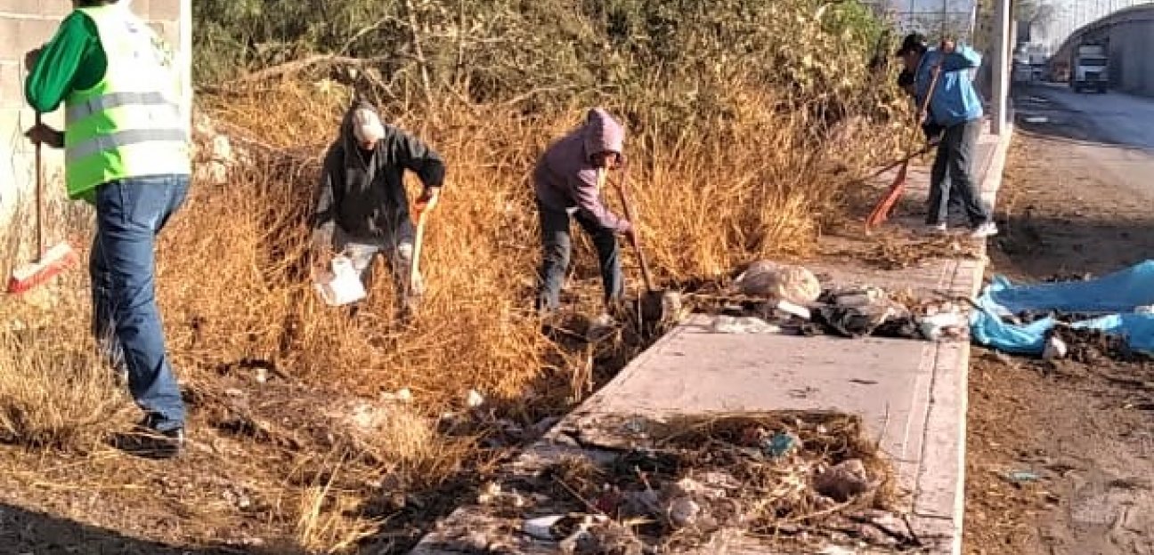 Ayuntamiento de Soledad revisa que terrenos baldíos no se conviertan en focos de contaminación