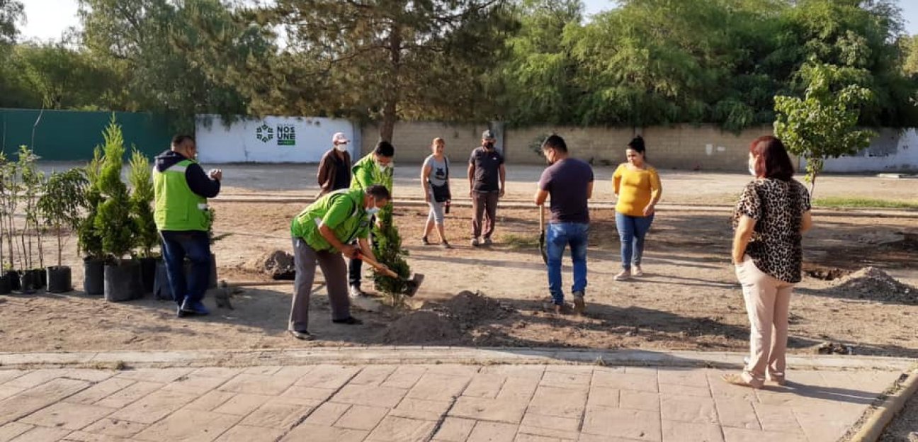 El Ayuntamiento de Soledad realiza acciones en favor del medio ambiente