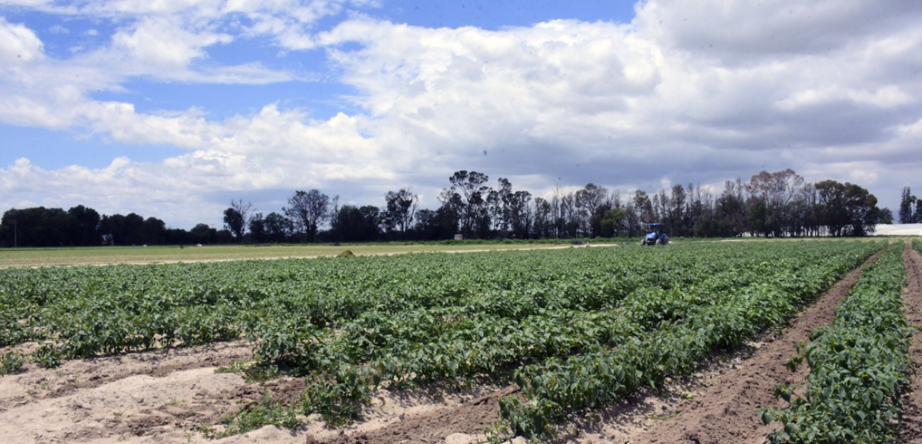 Recientes precipitaciones pluviales en Soledad trajeron beneficios: Mota Martínez