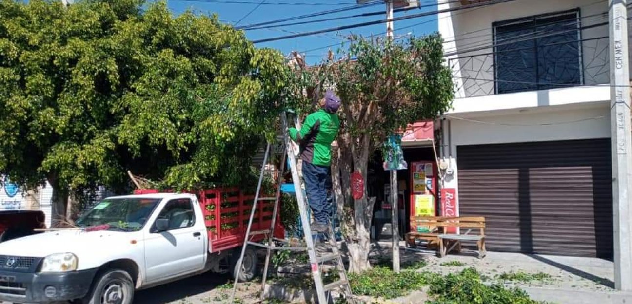 Servicios Municipales de Soledad fortalece mantenimiento de espacios públicos