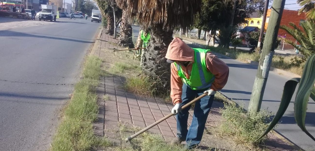 Programa Renovando tu Colonia refleja los primeros resultados en SGS