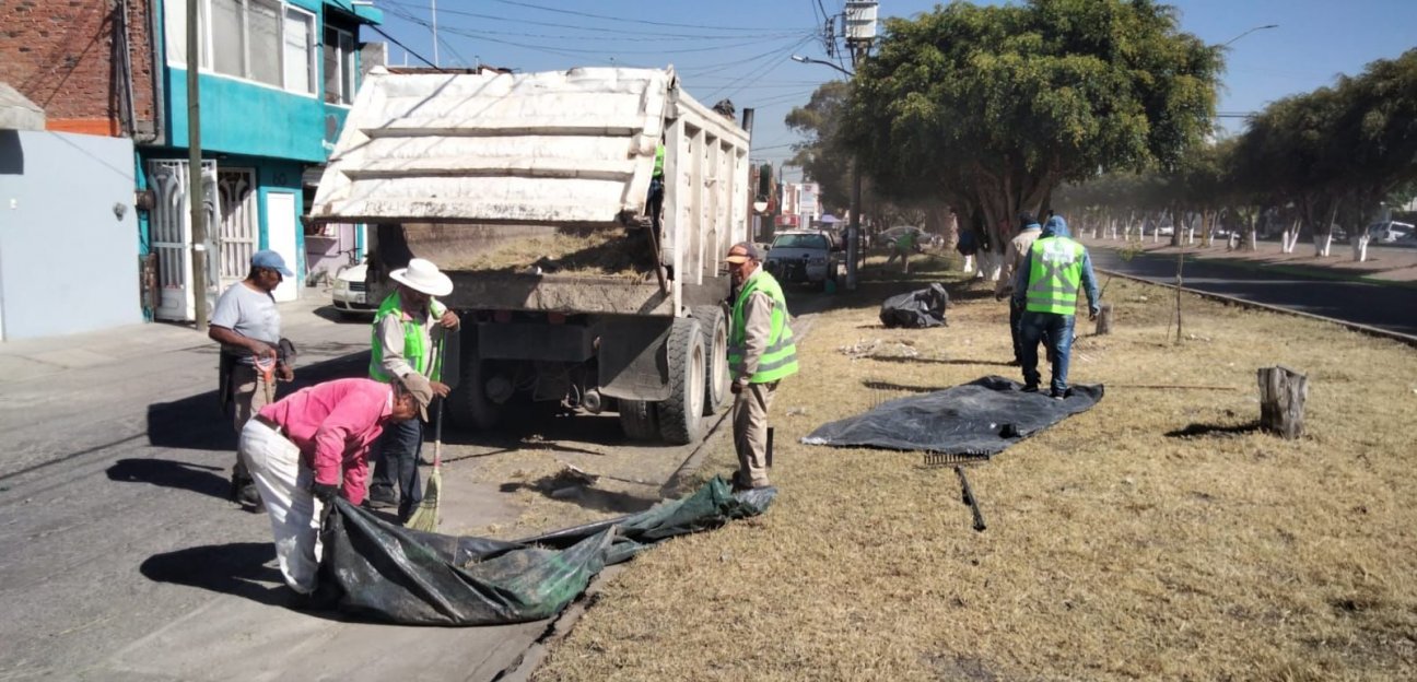Con paso firme avanza programa Embelleciendo tu Colonia en SGS