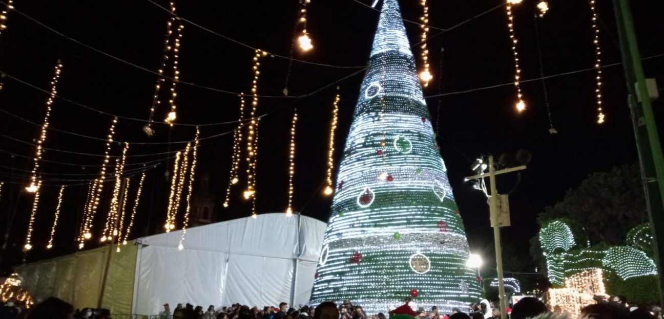 Provoca ilusión en familias soledenses el encendido del pino monumental navideño