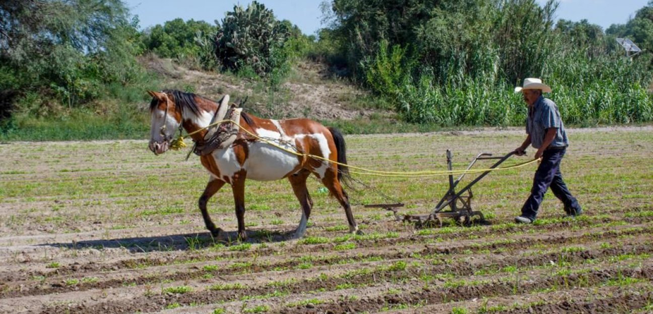 Buscarán mejorar la producción del campo soledense con cursos de capacitación 