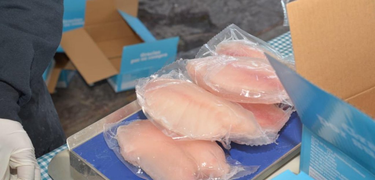 DIF Municipal de Soledad ofrecerá pescado y mariscos a bajo costo 