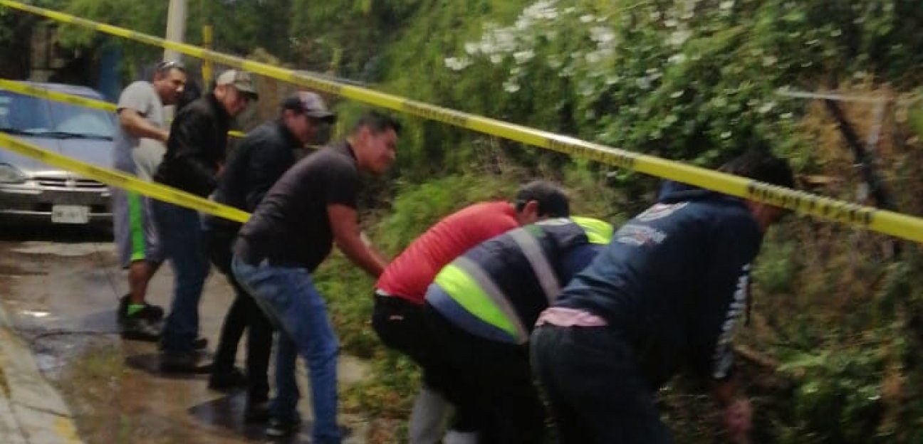 Protección Civil de Soledad brinda auxilio y coadyuva ante reportes por caída de árboles 