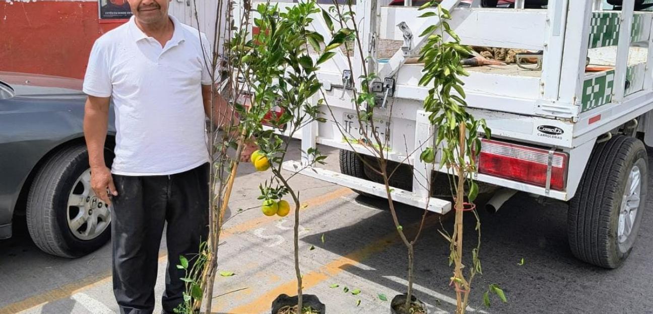 Soledad de G.S. reitera campaña de intercambio de basura electrónica por un árbol 