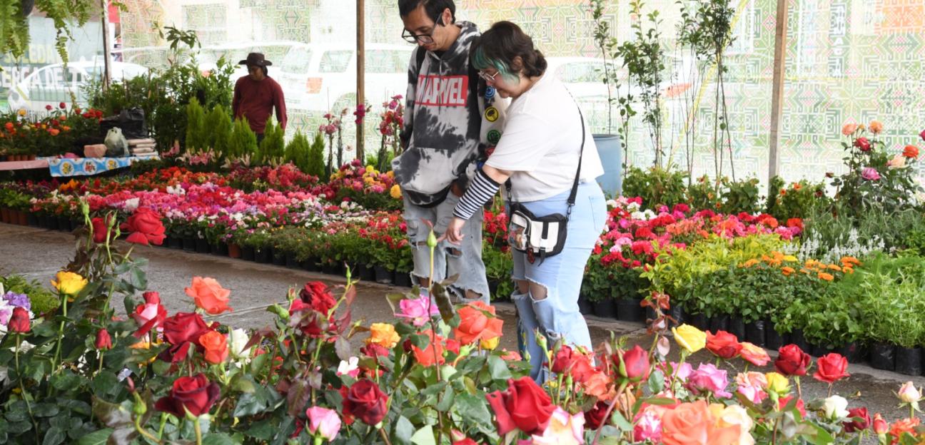 Feria de las Flores en Soledad atrae a visitantes nacionales por su multivariedad y precios accesibles
