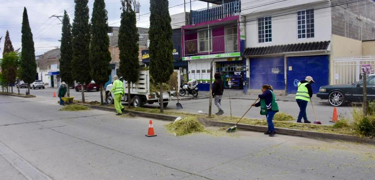 Acciones permanentes de limpieza garantizan mejor imagen urbana en Soledad