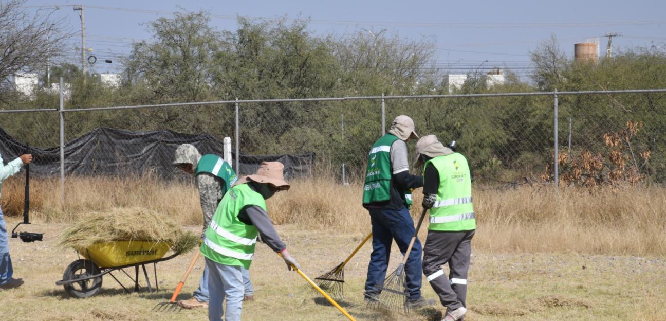 Ayuntamiento de Soledad lleva acciones de limpieza integral a los límites con la capital