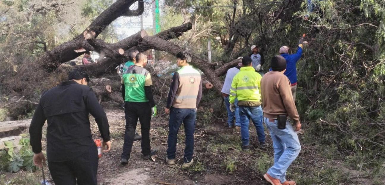 Protección Civil de Soledad activa atención permanente ante fuertes vientos