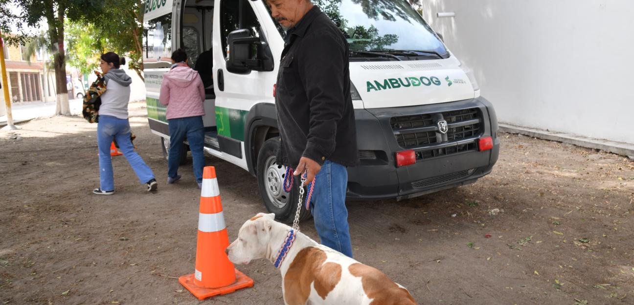 A través de Ambudog, municipio de Soledad acerca vacunación antirrábica y más atención veterinaria
