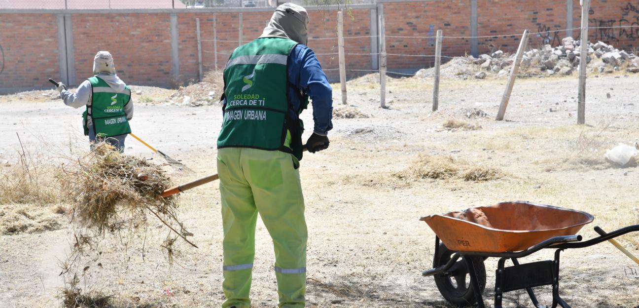 Cuadrillas municipales intensifican limpieza de calles, avenidas y espacios públicos en Soledad